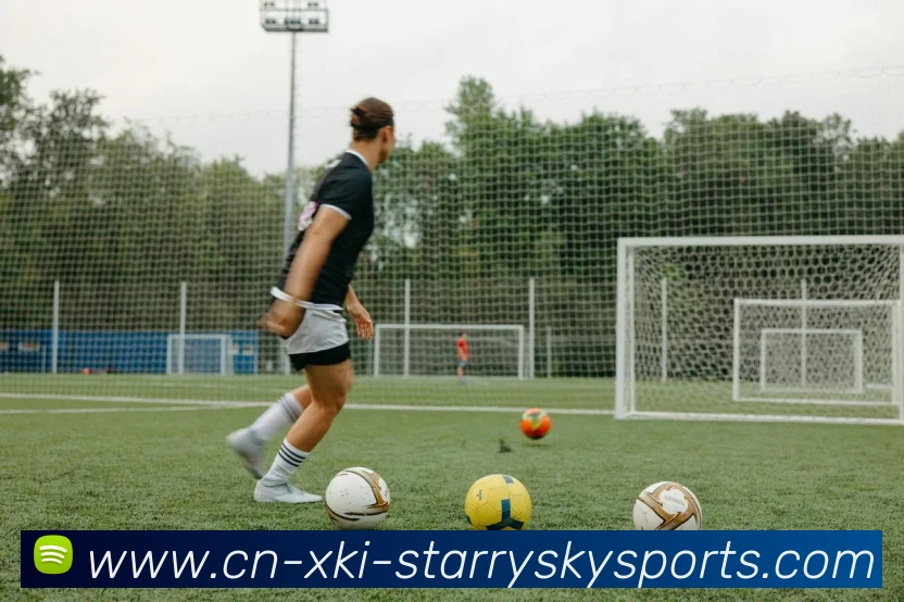 星空体育发展历程